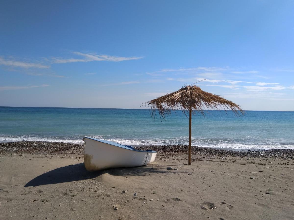 Villa El Sa Calopezzati Екстериор снимка